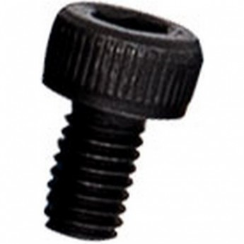 ВИНТ С ШЕСТИГРАННОЙ ГОЛОВКОЙ, СТАЛЬНОЙ M3*5 12.9 ДЛЯ НОЖНОЙ ПЛАТФОРМЫ NINEBOT-E, E+ ВИНТ С ШЕСТИГРАННОЙ ГОЛОВКОЙ, СТАЛЬНОЙ M3*5 12.9 ДЛЯ НОЖНОЙ ПЛАТФОРМЫ NINEBOT-E, E+